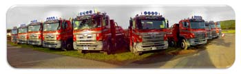 Best Hino fleet 2007